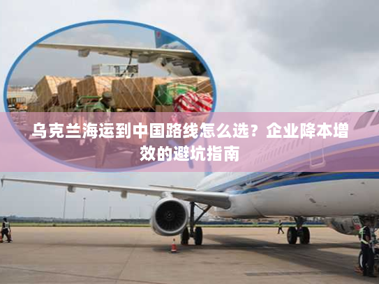 乌克兰海运到中国路线怎么选？企业降本增效的避坑指南