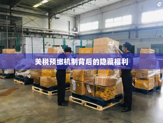 关税预缴机制背后的隐藏福利