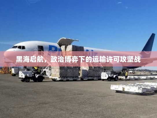 黑海启航，政治博弈下的运输许可攻坚战