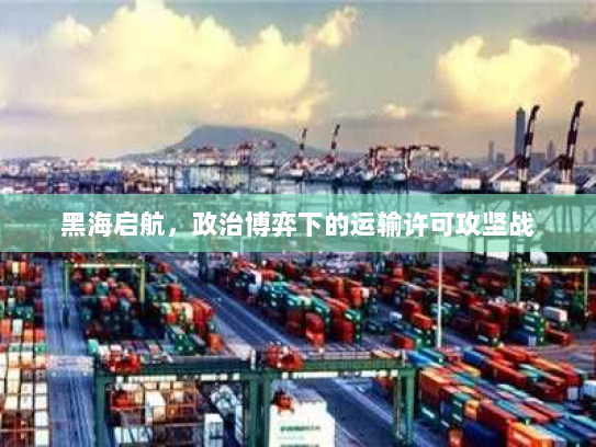 黑海启航，政治博弈下的运输许可攻坚战