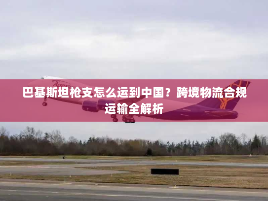 巴基斯坦枪支怎么运到中国？跨境物流合规运输全解析