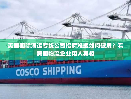 英国国际海运专线公司招聘难题如何破解？看跨国物流企业用人真相