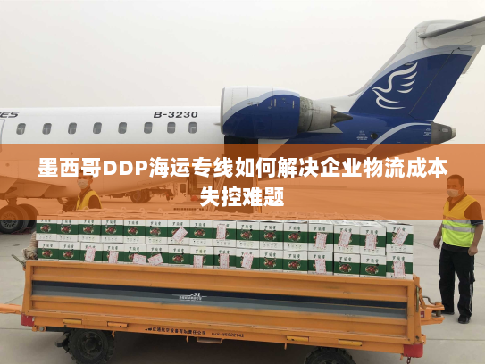 墨西哥DDP海运专线如何解决企业物流成本失控难题