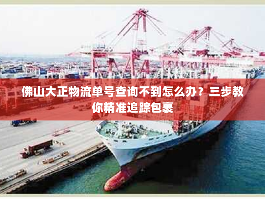 佛山大正物流单号查询不到怎么办？三步教你精准追踪包裹
