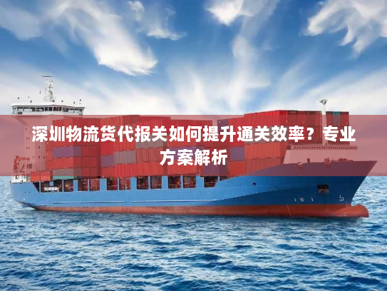 深圳物流货代报关如何提升通关效率?专业方案解析 深圳物流货代报关如何提升通关效率?专业方案解析