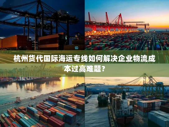 杭州货代国际海运专线如何解决企业物流成本过高难题？