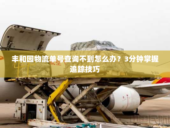 丰和园物流单号查询不到怎么办？3分钟掌握追踪技巧