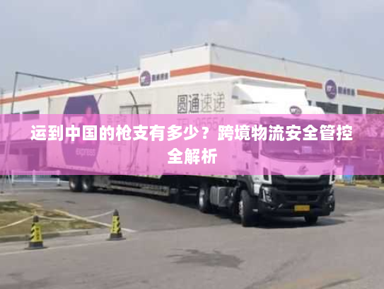 运到中国的枪支有多少？跨境物流安全管控全解析