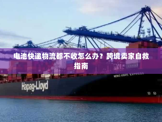 电池快递物流都不收怎么办？跨境卖家自救指南
