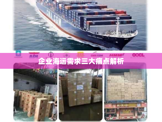 企业海运需求三大痛点解析