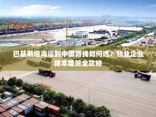 巴基斯坦海运到中国路线如何选？物业企业降本增效全攻略