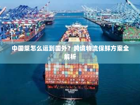 中国菜怎么运到国外?跨境物流保鲜方案全解析 中国菜怎么运到国外?跨境物流保鲜方案全解析