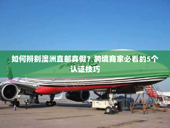 如何辨别澳洲直邮真假？跨境商家必看的5个认证技巧