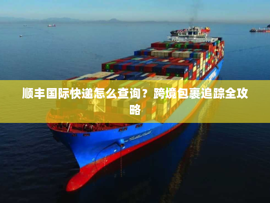 顺丰国际快递怎么查询?跨境包裹追踪全攻略 顺丰国际快递怎么查询?跨境包裹追踪全攻略