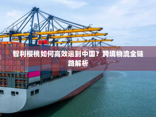 智利樱桃如何高效运到中国？跨境物流全链路解析