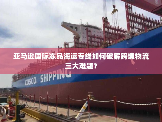 亚马逊国际冻品海运专线如何破解跨境物流三大难题？