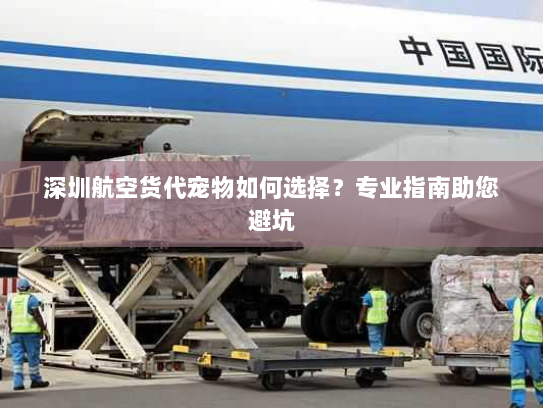 深圳航空货代宠物如何选择？专业指南助您避坑