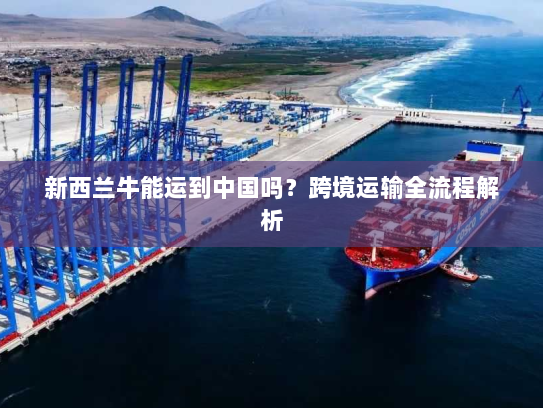 新西兰牛能运到中国吗？跨境运输全流程解析