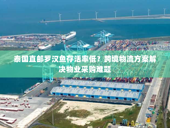 泰国直邮罗汉鱼存活率低?跨境物流方案解决物业采购难题 泰国直邮罗汉鱼存活率低?跨境物流方案解决物业采购难题