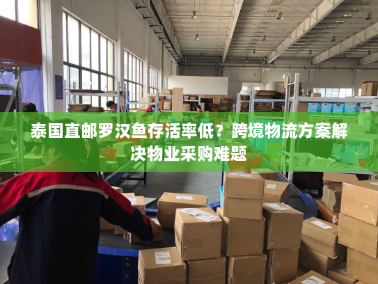 泰国直邮罗汉鱼存活率低？跨境物流方案解决物业采购难题