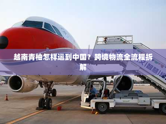 越南青柚怎样运到中国？跨境物流全流程拆解