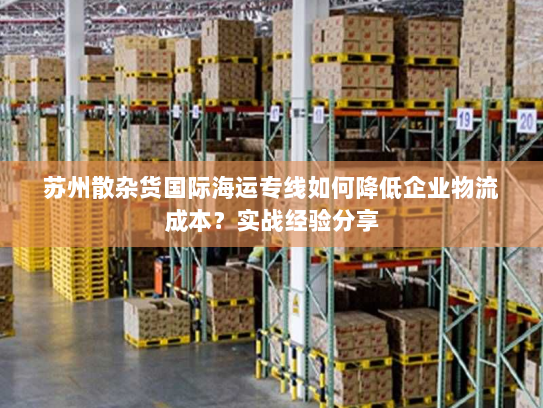 苏州散杂货国际海运专线如何降低企业物流成本？实战经验分享