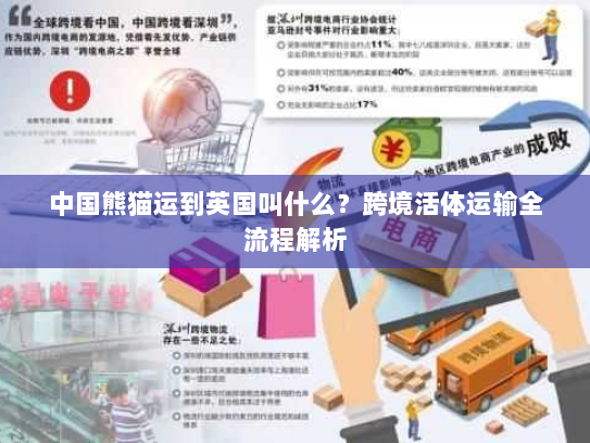 中国熊猫运到英国叫什么？跨境活体运输全流程解析