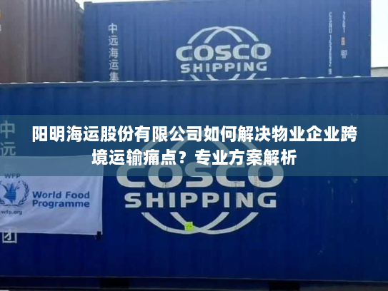 阳明海运股份有限公司如何解决物业企业跨境运输痛点？专业方案解析