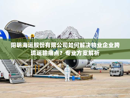阳明海运股份有限公司如何解决物业企业跨境运输痛点？专业方案解析