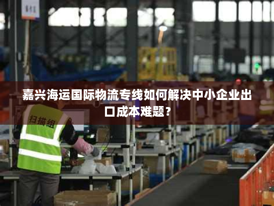 嘉兴海运国际物流专线如何解决中小企业出口成本难题？