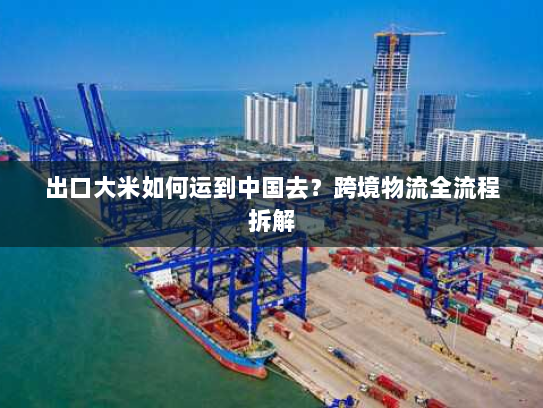出口大米如何运到中国去？跨境物流全流程拆解