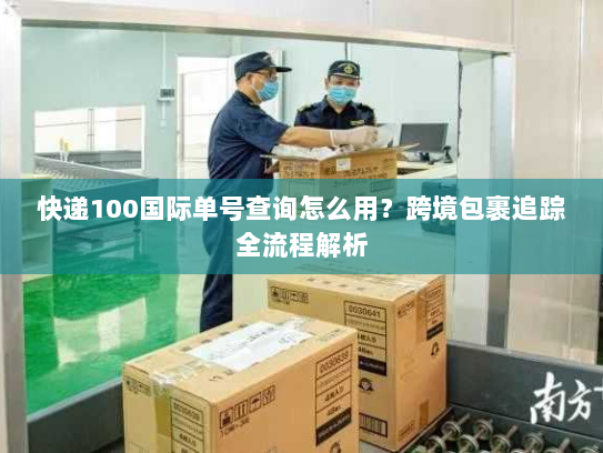 快递100国际单号查询怎么用？跨境包裹追踪全流程解析