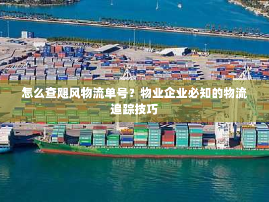 怎么查飓风物流单号?物业企业必知的物流追踪技巧 怎么查飓风物流单号?物业企业必知的物流追踪技巧