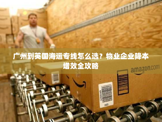 广州到英国海运专线怎么选?物业企业降本增效全攻略 广州到英国海运专线怎么选?物业企业降本增效全攻略