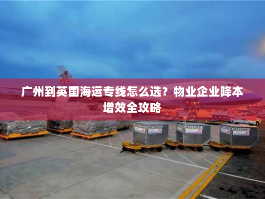 广州到英国海运专线怎么选?物业企业降本增效全攻略 广州到英国海运专线怎么选?物业企业降本增效全攻略