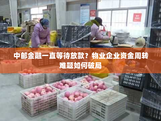 中邮金融一直等待放款？物业企业资金周转难题如何破局