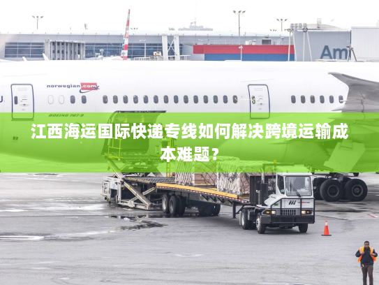 江西海运国际快递专线如何解决跨境运输成本难题？