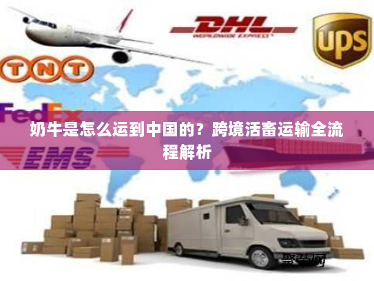 奶牛是怎么运到中国的?跨境活畜运输全流程解析 奶牛是怎么运到中国的?跨境活畜运输全流程解析