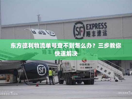 东方德利物流单号查不到怎么办？三步教你快速解决