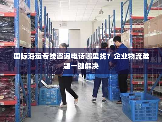 国际海运专线咨询电话哪里找?企业物流难题一键解决 国际海运专线咨询电话哪里找?企业物流难题一键解决