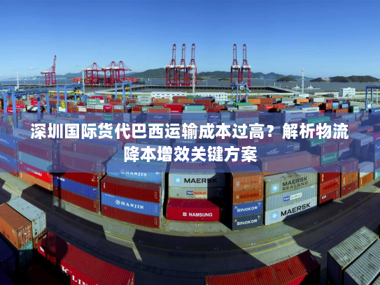 深圳国际货代巴西运输成本过高?解析物流降本增效关键方案 深圳国际货代巴西运输成本过高?解析物流降本增效关键方案