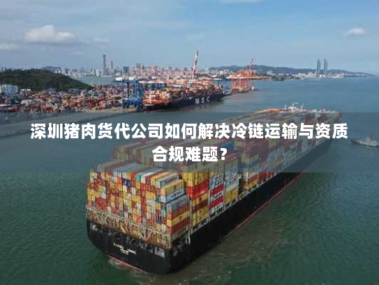 深圳猪肉货代公司如何解决冷链运输与资质合规难题？