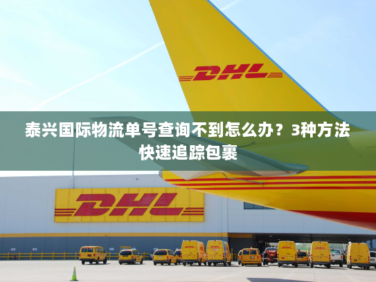 泰兴国际物流单号查询不到怎么办？3种方法快速追踪包裹