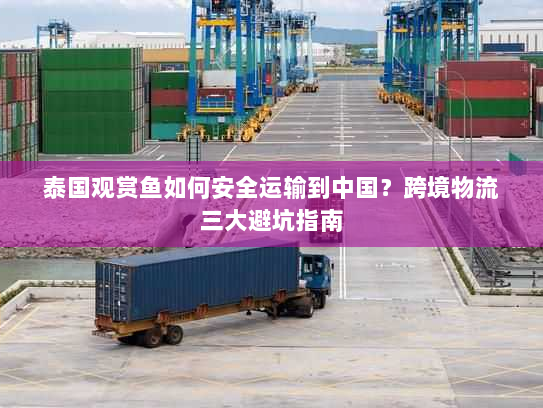 泰国观赏鱼如何安全运输到中国?跨境物流三大避坑指南 泰国观赏鱼如何安全运输到中国?跨境物流三大避坑指南