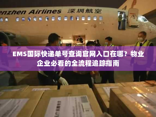 EMS国际快递单号查询官网入口在哪？物业企业必看的全流程追踪指南