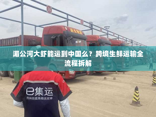 湄公河大虾能运到中国么?跨境生鲜运输全流程拆解 湄公河大虾能运到中国么?跨境生鲜运输全流程拆解