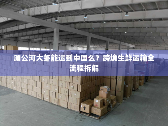 湄公河大虾能运到中国么？跨境生鲜运输全流程拆解