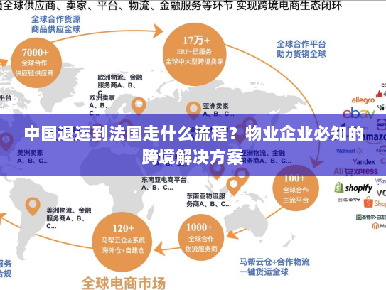 中国退运到法国走什么流程？物业企业必知的跨境解决方案