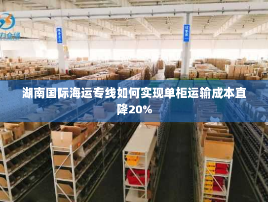 湖南国际海运专线如何实现单柜运输成本直降20% 湖南国际海运专线如何实现单柜运输成本直降20%