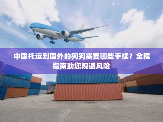 中国托运到国外的狗狗需要哪些手续？全程指南助您规避风险